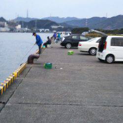 大潟岸壁テンヤでタチウオ