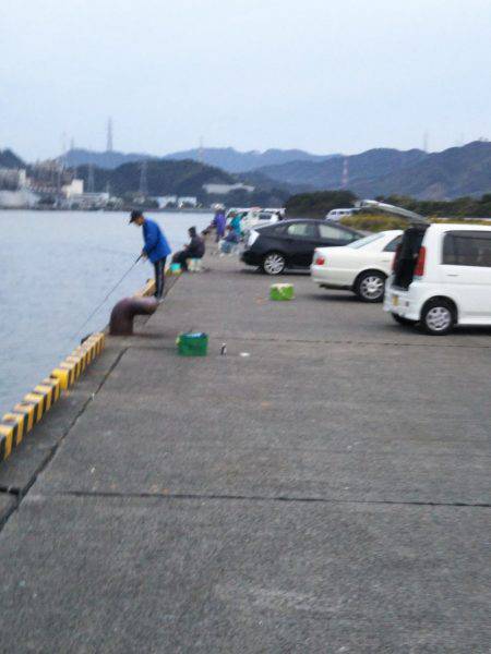 大潟岸壁テンヤでタチウオ