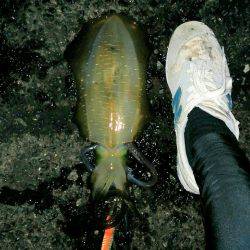 またまた淡路島!