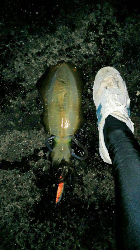 またまた淡路島!