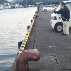 大潟岸壁テンヤでタチウオ