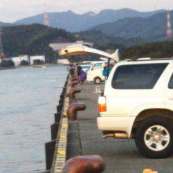 大潟岸壁テンヤでタチウオ