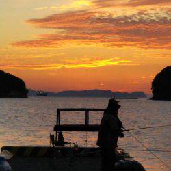 大潟岸壁テンヤでタチウオ