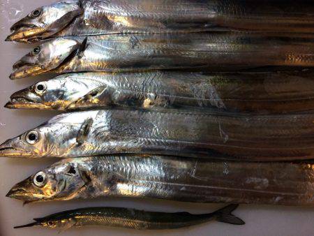 釣りバカばっか