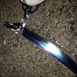 本命はさて置き!!!