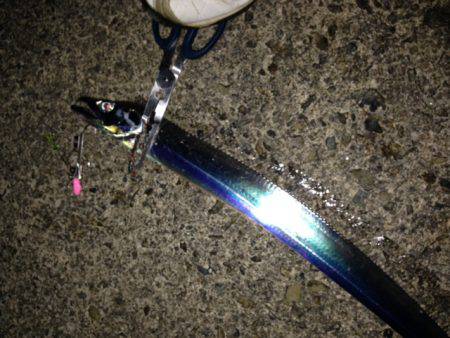 本命はさて置き!!!