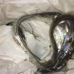 今日も行って来ました