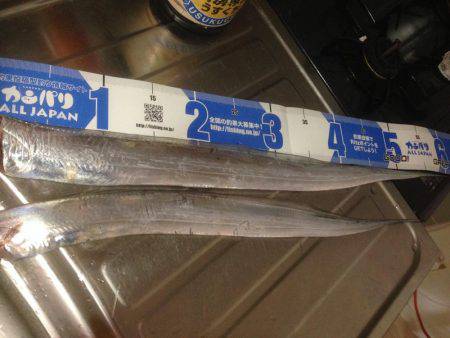 結局タチウオ！