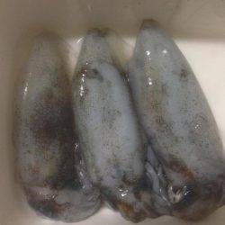 気持ちい風の中