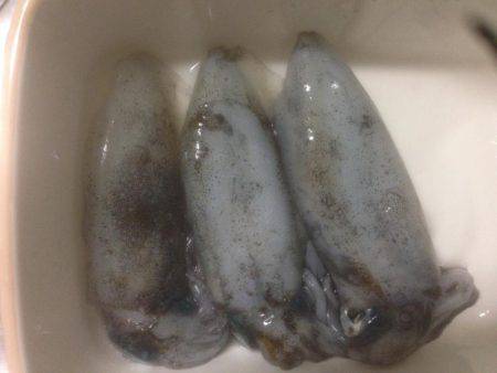 気持ちい風の中