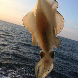 中紀シャローランガン