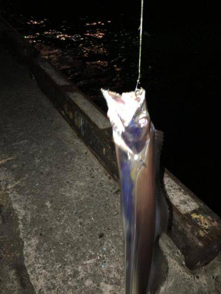 強風の中タチウオ釣りに