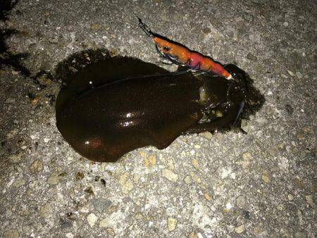 仕事帰りの釣行