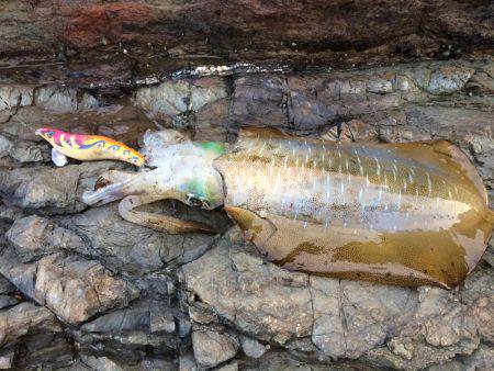 潮場で夕マヅメ‼︎