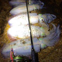 夜中の短時間エギング