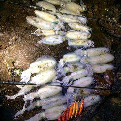 夕マヅメ〜〜ナイトエギング