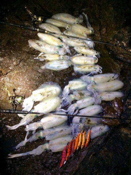 夕マヅメ〜〜ナイトエギング