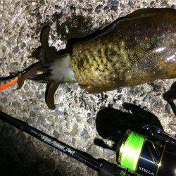 人が多い！(笑)