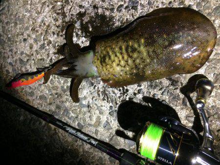 人が多い！(笑)