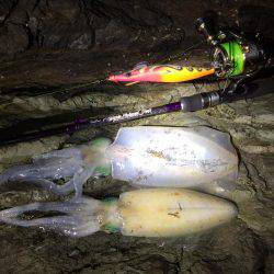 爆風真っ向勝負。