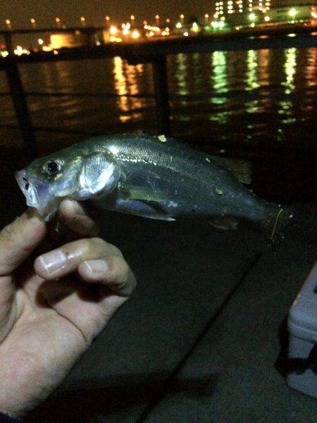 雨の予報覚悟で