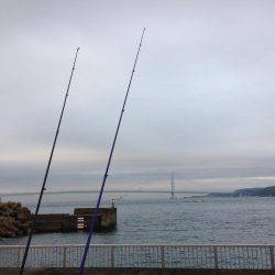 イカさっぱり釣れず。タチウオは…