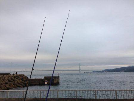 イカさっぱり釣れず。タチウオは…