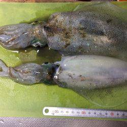 仕事帰りに一振り