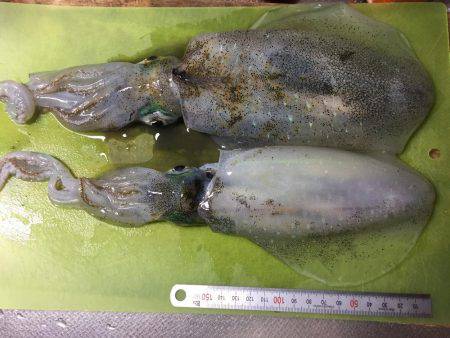 仕事帰りに一振り