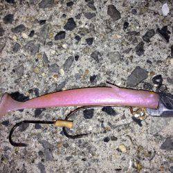 ワイヤー忘れてロスト