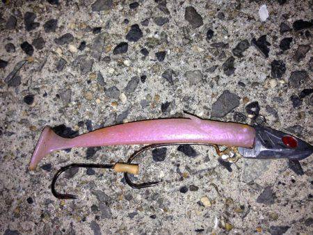 ワイヤー忘れてロスト