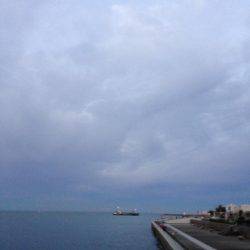 夕マヅメより朝マヅメ釣行