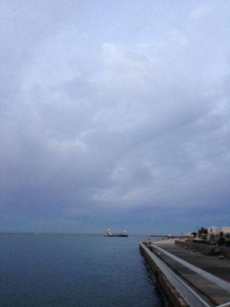 夕マヅメより朝マヅメ釣行