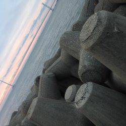 数は減ったが型はまずまず