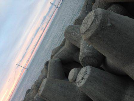 数は減ったが型はまずまず