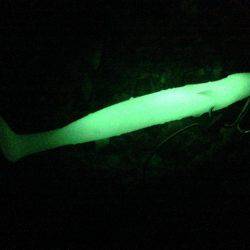 何を試しても反応なかったが、あるキッカケで。。。