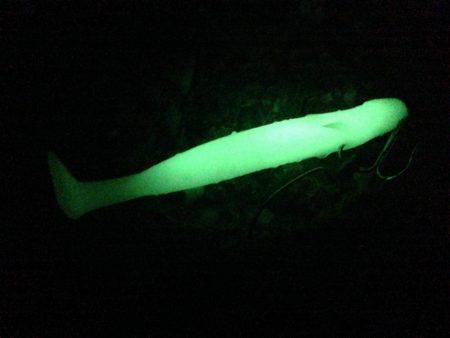 何を試しても反応なかったが、あるキッカケで。。。