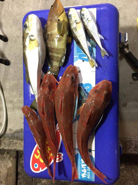 モンスターアコウGET‼️