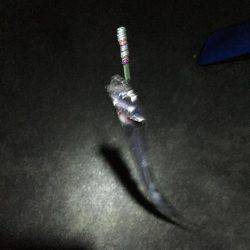 時合短く食い渋り