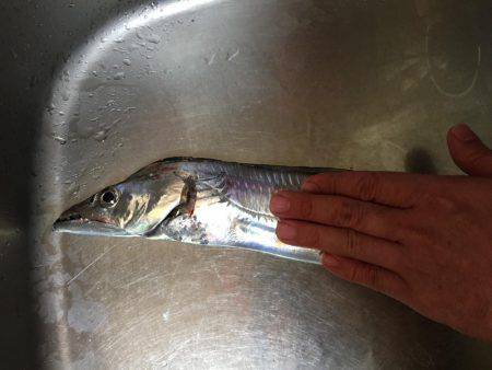 ウキ釣り厳しい