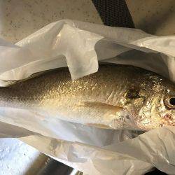 びみょうな１日