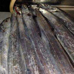 ワインドとフラップで