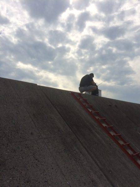 台風後の状況変化を期待して