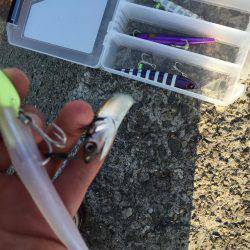 前が少し良かったので