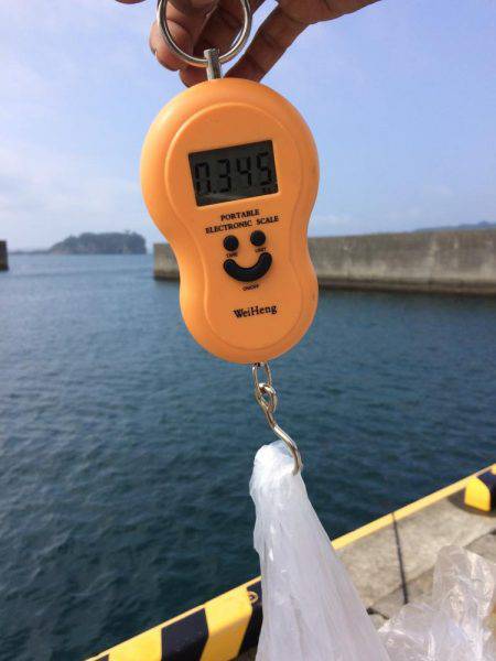 やっと墨付けできました。