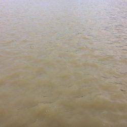 強風豪雨劇濁り