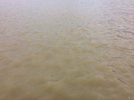 強風豪雨劇濁り