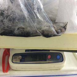 バクチョウパート3