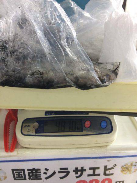 バクチョウパート3