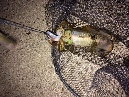 冬の空と風に…